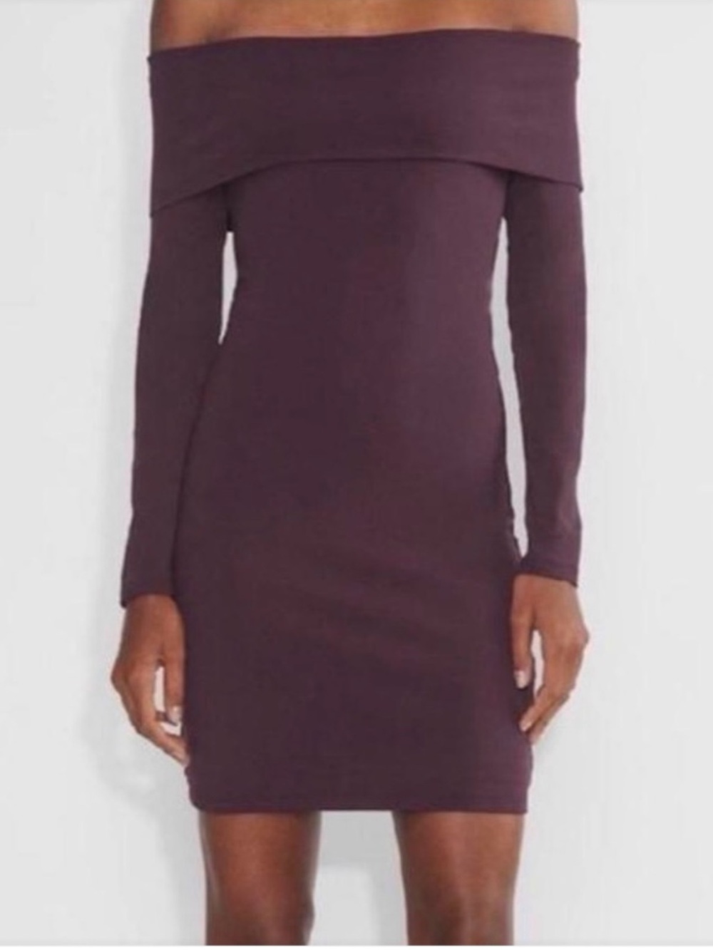 Aritzia Wilfred free strapless long sleeve dress